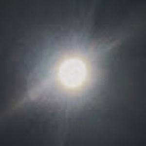 Meet your Posher, Tanner